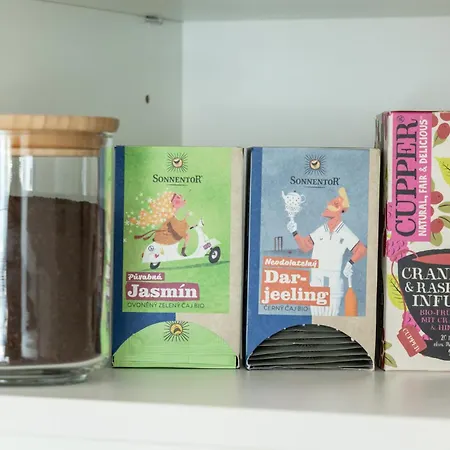 Daire Contemporary With Garage Parking Prag