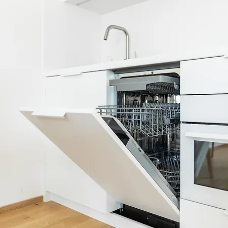 Contemporary With Garage Parking Apartment