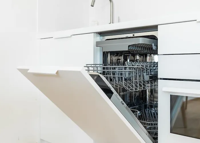 Contemporary With Garage Parking Apartment